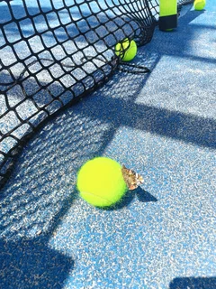 Wir lieben Padel. Bild auf einem Padelcourt mit Schmetterling auf dem Padelball